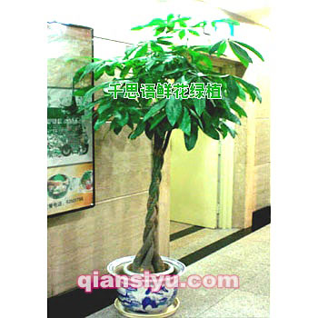 罗定鲜花店