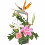 ޶ʻٵ