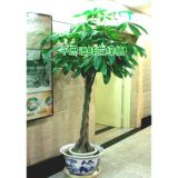 罗定花店