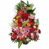 ޶ʻٵ
